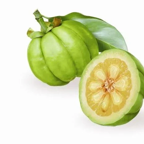 Garcinia Cambogia