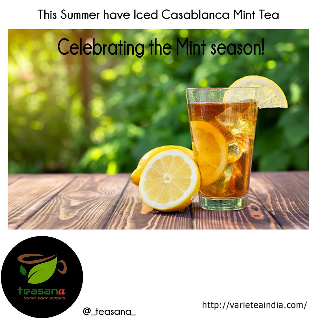 Casablanca Mint Tea view 3